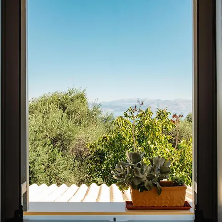 Appartement Mountain Seaview